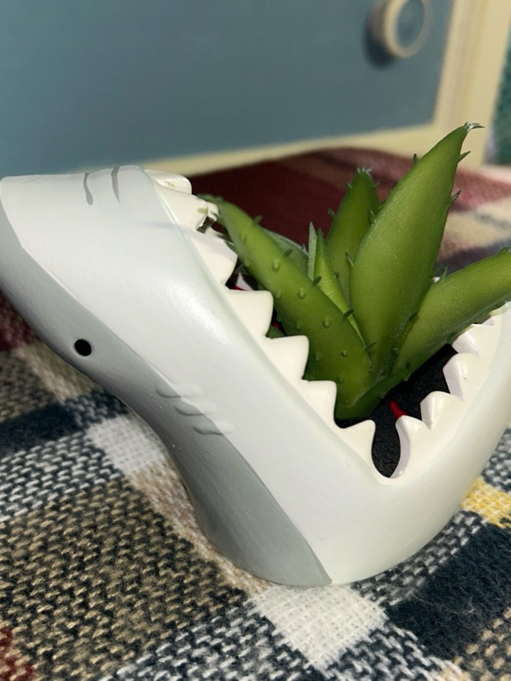 White Shark Bite Ceramic Planter with Green Succulent